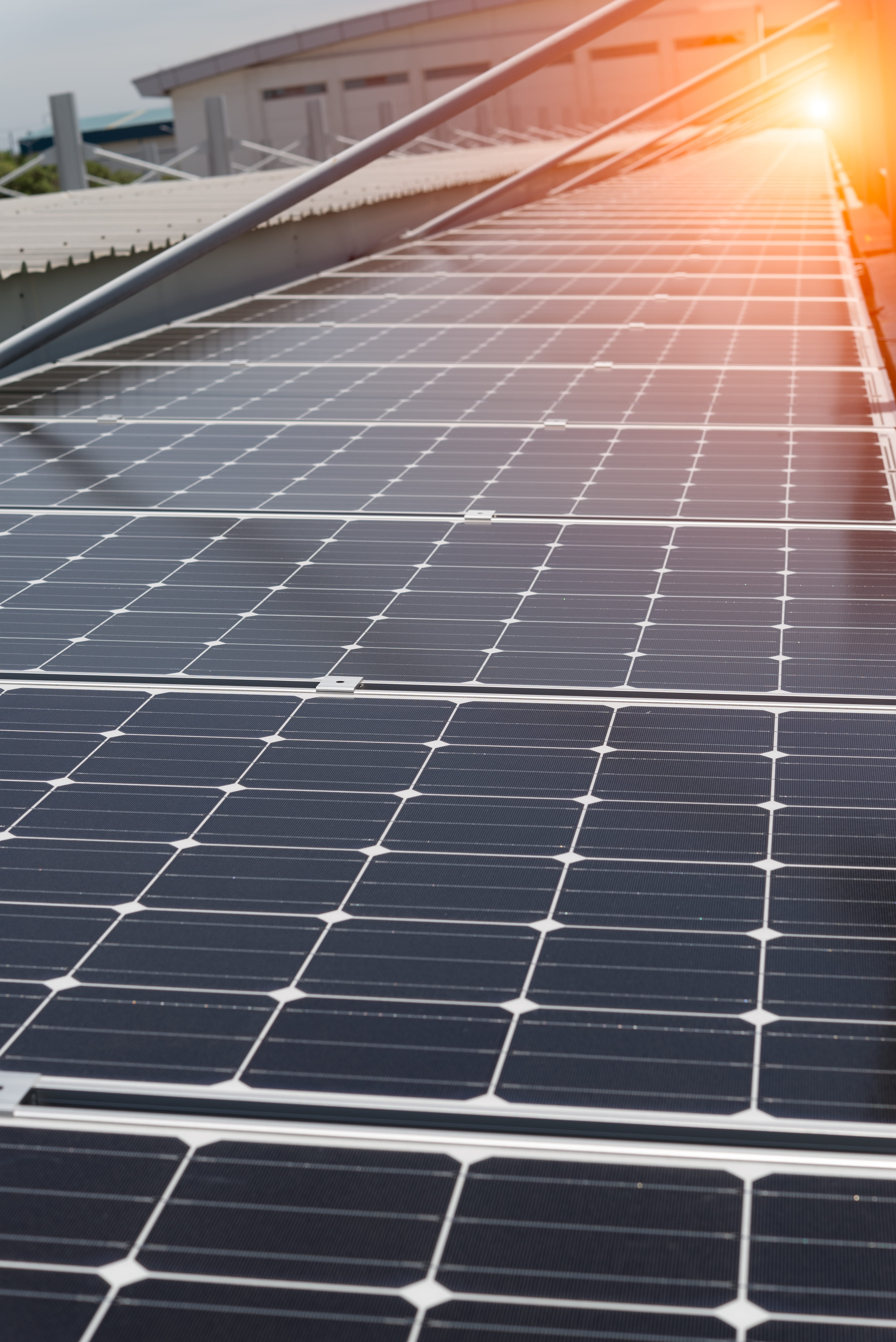 Solar panels generating clean energy on a South African rooftop